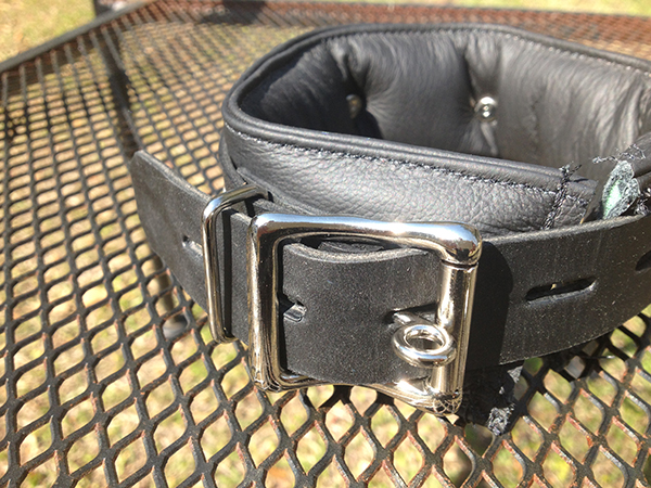 locking leather padded collar